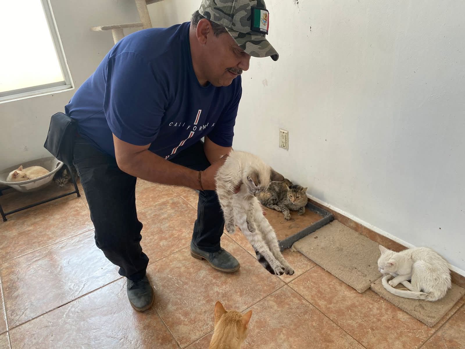 Esta abierta la adopción de animales en centro de control municipal