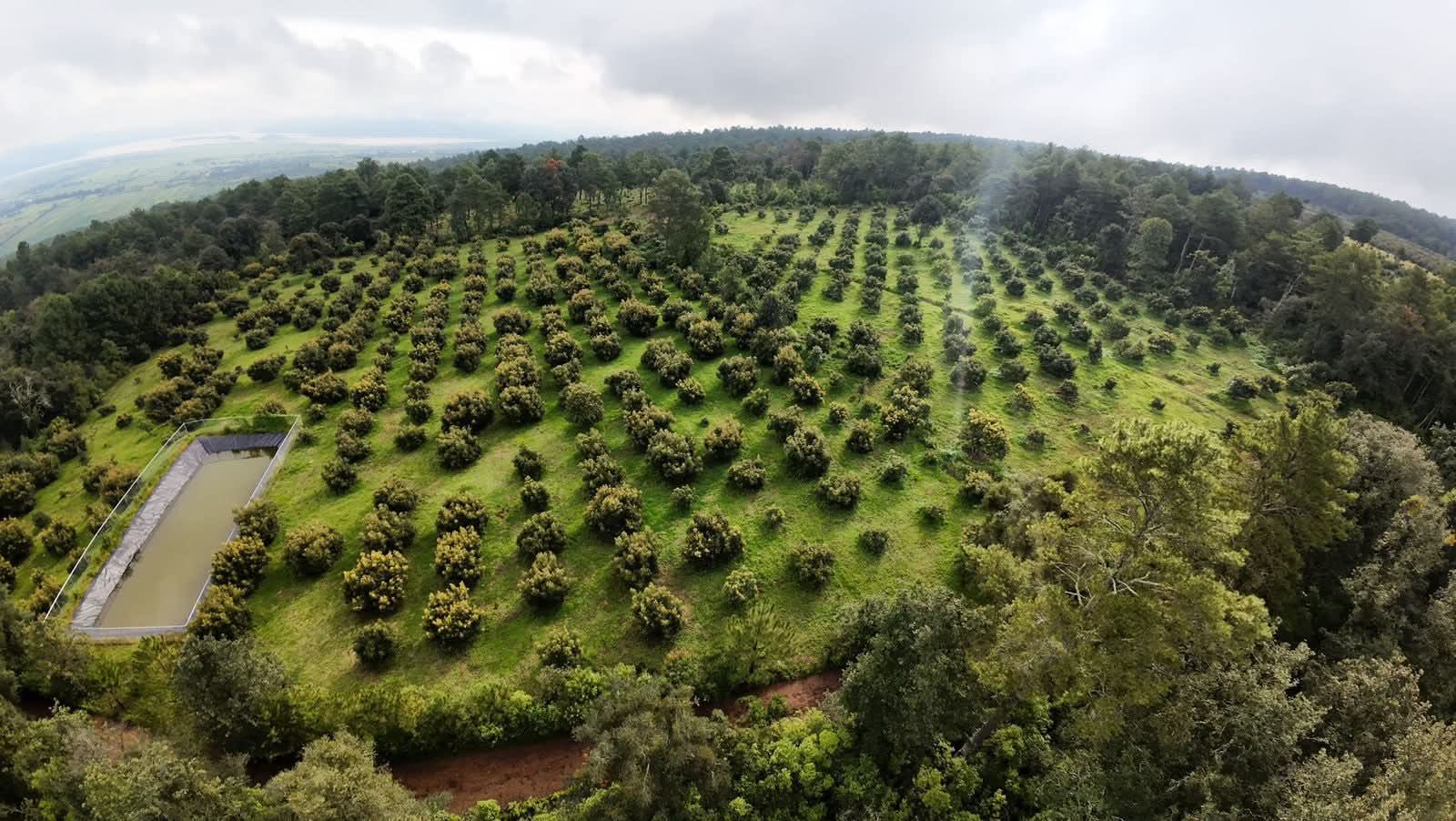Así funcionará Guardián del Agua para cuidar el recurso natural en Michoacán: Secma