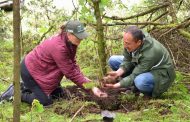 Michoacán alcanza meta histórica con más de 10 millones de árboles plantados en 2025