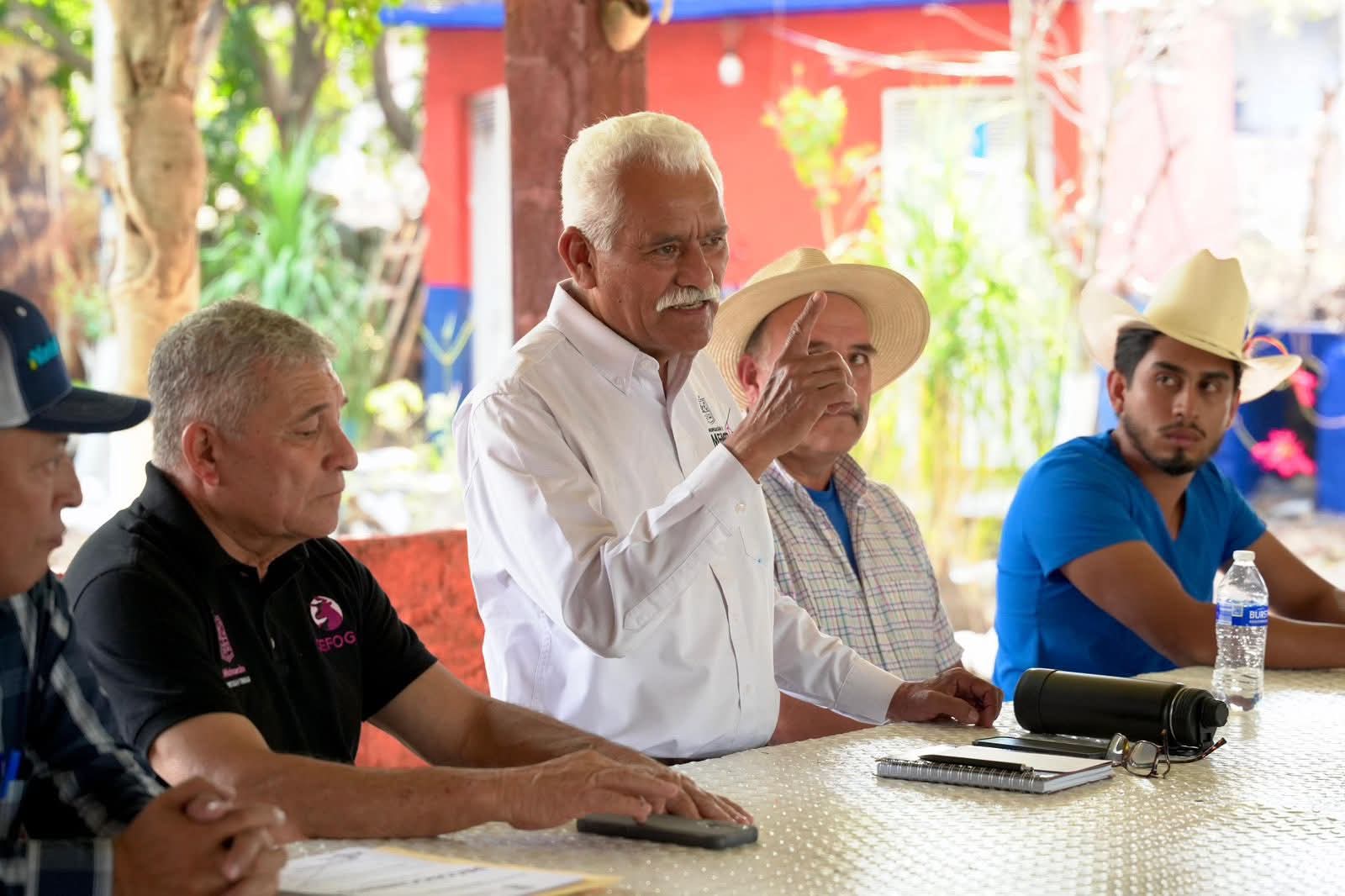 Detectan primer caso aislado de gusano barrenador en Villa Madero: Sader