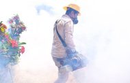 En 2025, Michoacán registró 81 % menos casos de dengue: SSM
