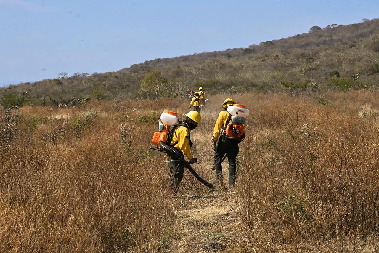 Realiza Gobierno de Tangancícuaro quema controlada de pastizales para prevención de incendios.