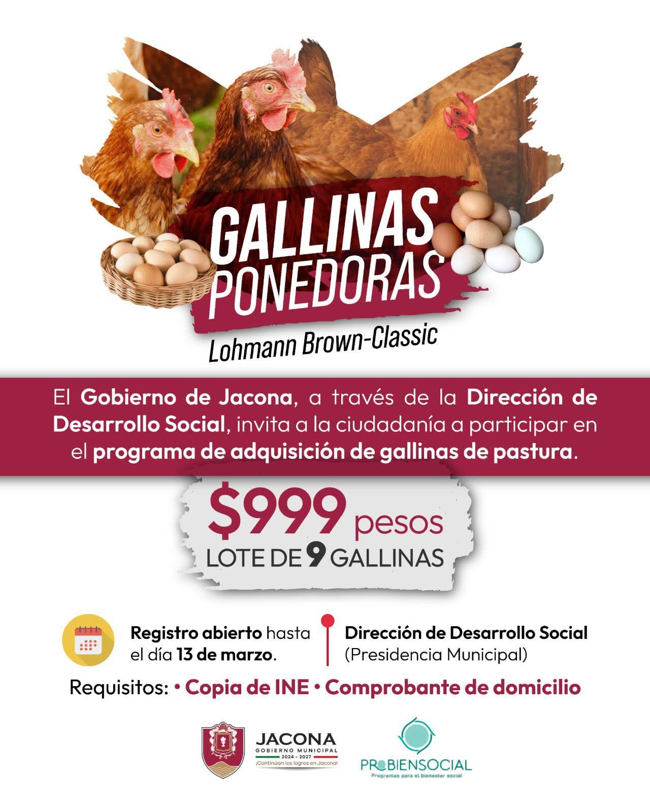 Dirección de Desarrollo Social en Jacona invita a comprar lotes de gallina