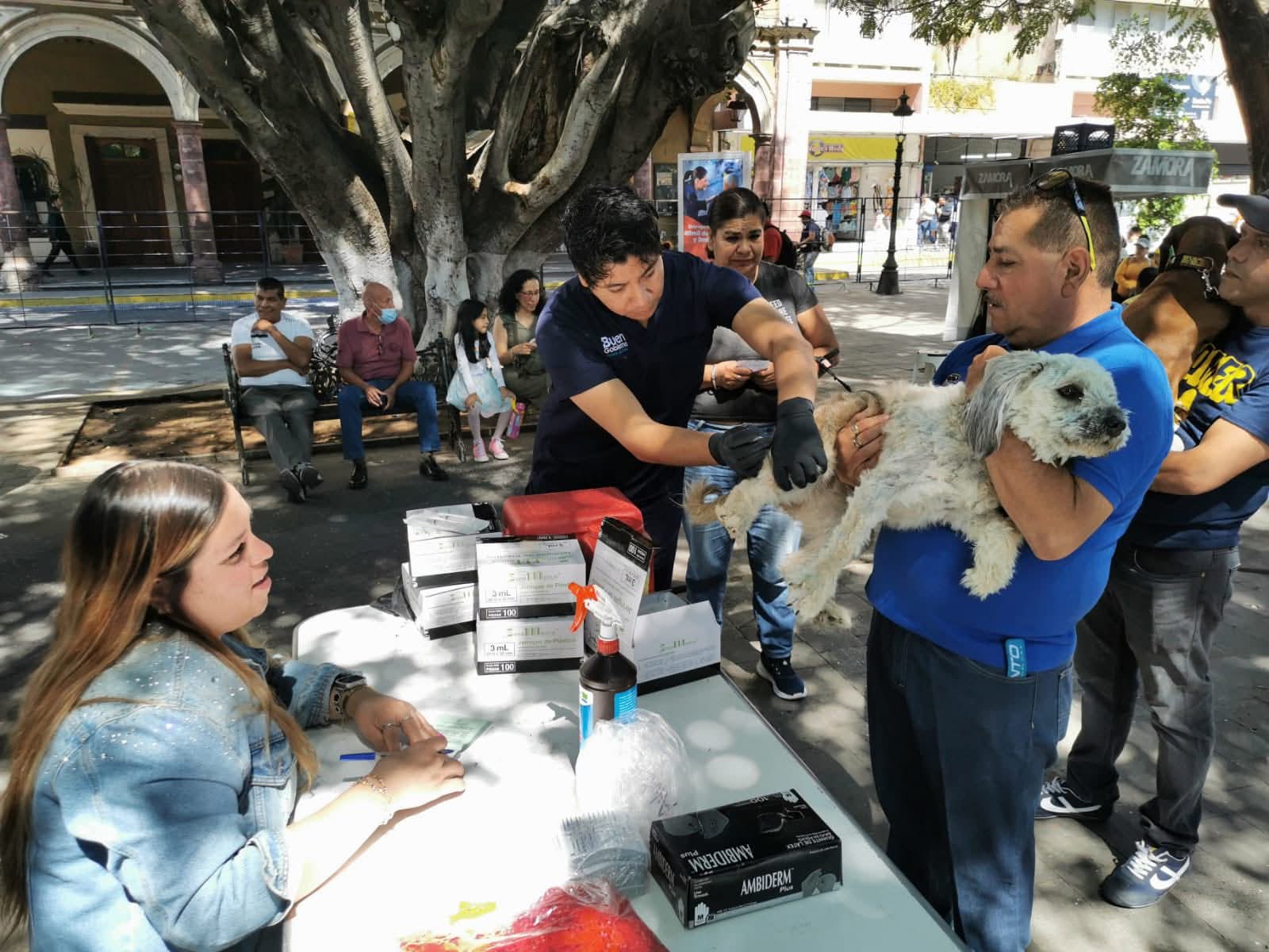 Realizan jornada gratuita de vacunación antirrábica