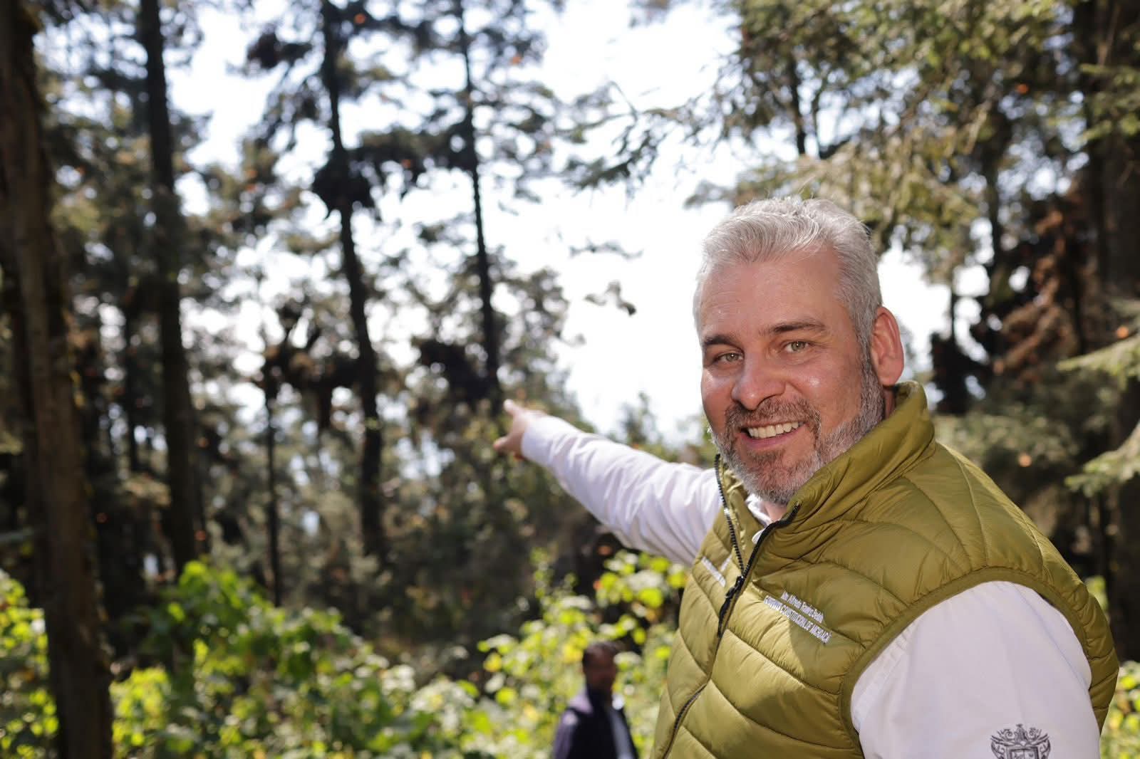 Bedolla celebra incremento del 64% en la migración de la Mariposa Monarca