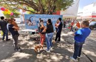 Realizan más de 400 esterilizaciones y aplican mil vacunas antirrábicas