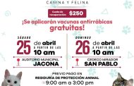 Anuncian en Jacona 8ª campaña de esterilización y vacunación para mascotas