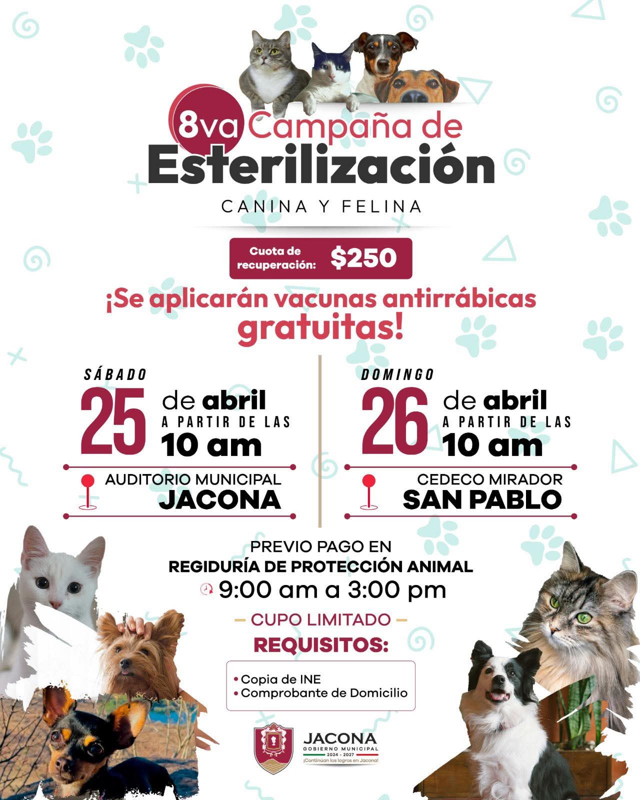 Anuncian en Jacona 8ª campaña de esterilización y vacunación para mascotas