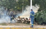 Refuerzan acciones preventivas contra el dengue en Zamora