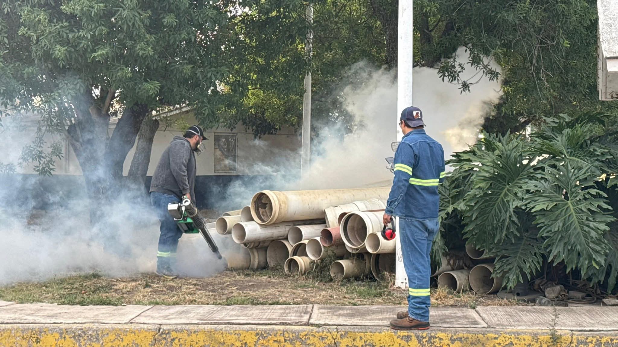 Refuerzan acciones preventivas contra el dengue en Zamora