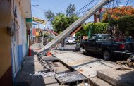 Comienzan reparaciones tras árbol caído en Tangancícuaro