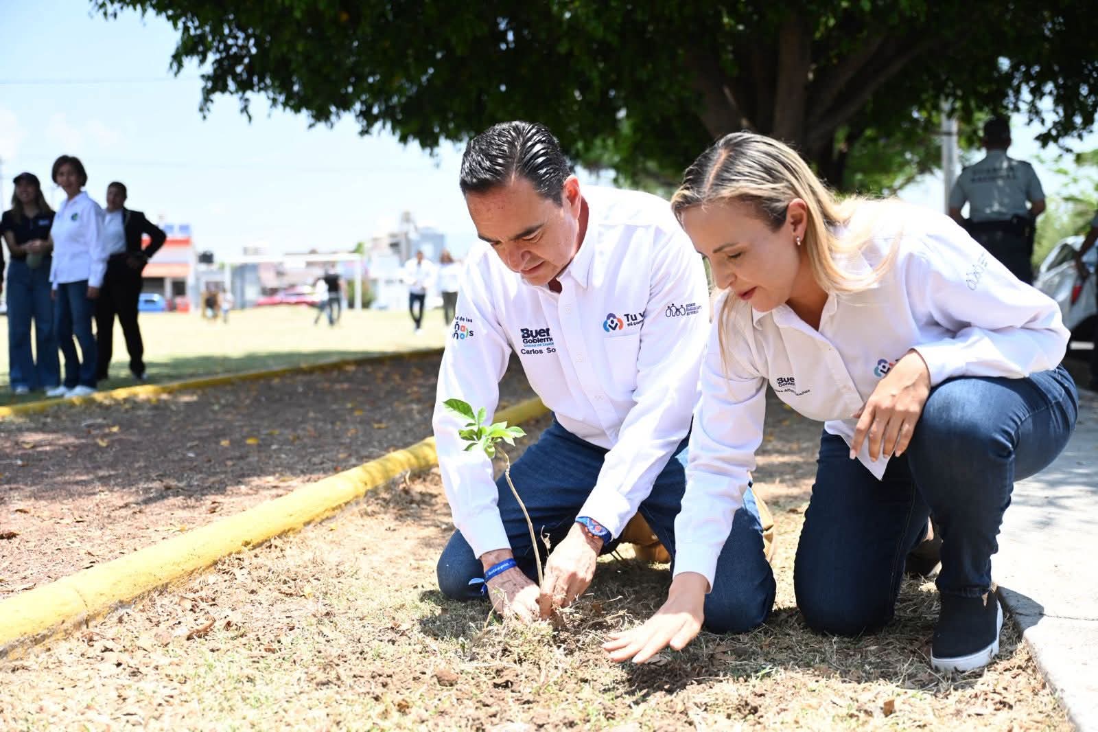 Conmemoran el Día de la Tierra con jornada de reforestación en Altamira