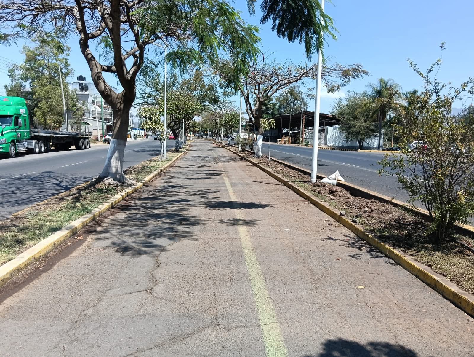 Rehabilitan parque lineal del Acceso Norte