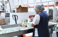 Más de 505 mil empleos formales en Michoacán se traducen en seguridad social y bienestar