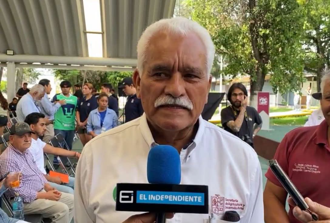 Exportadoras de fresa locales siguen en proceso de contestación ante señalamiento de dumping
