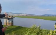 Más de la mitad de la presa de Urepetiro está llena de lirio acuático