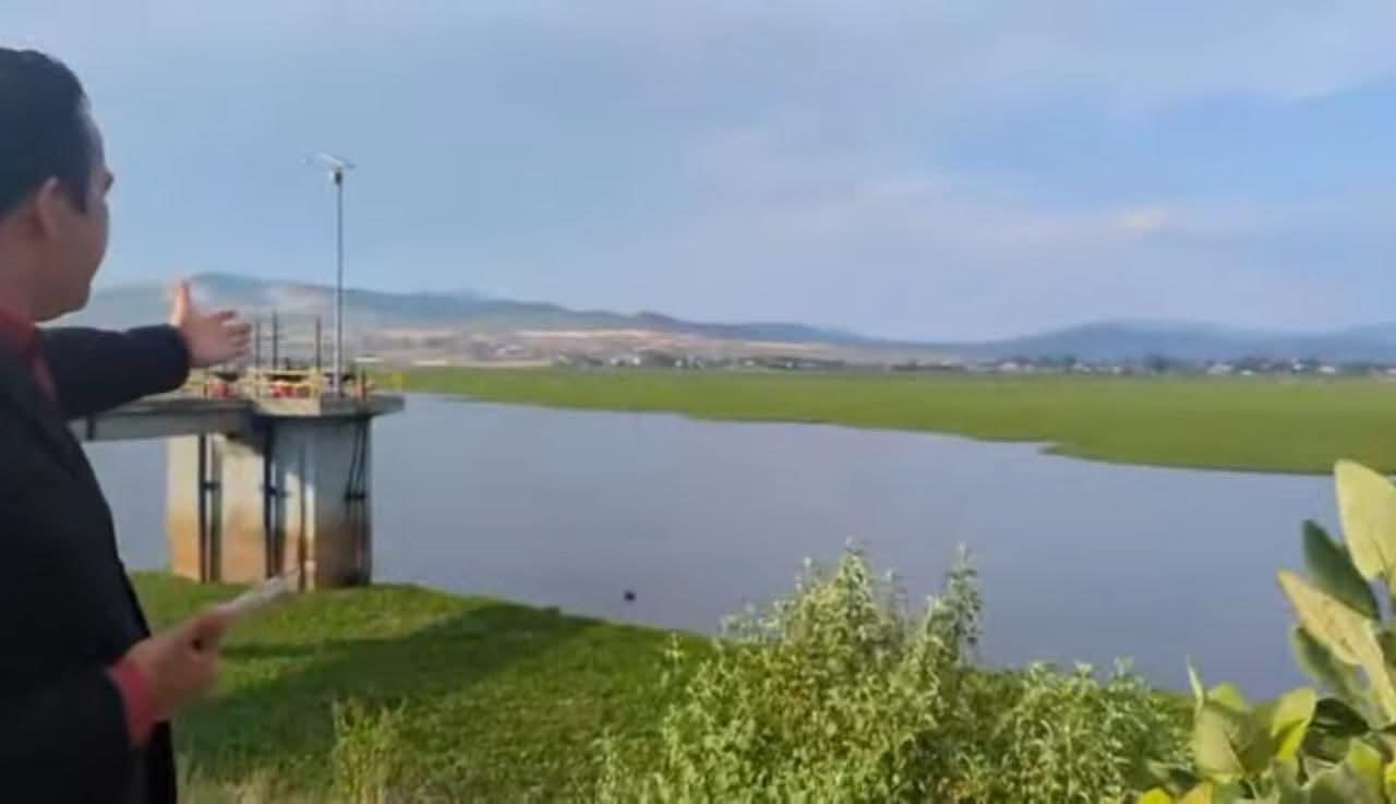 Más de la mitad de la presa de Urepetiro está llena de lirio acuático