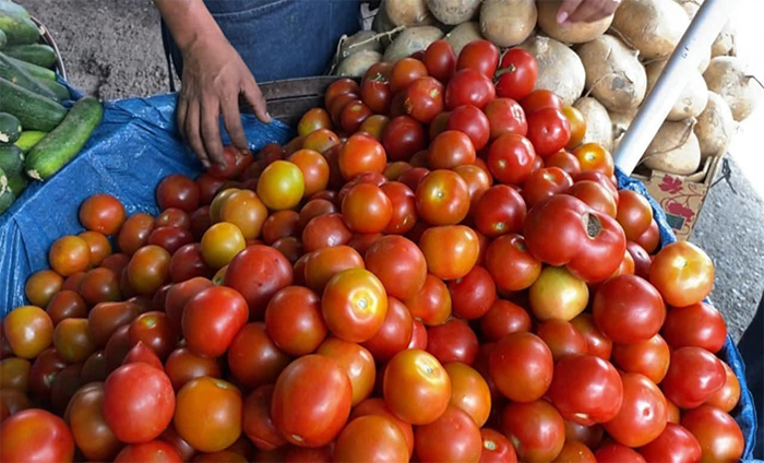 Sigue subiendo el kilo de jitomate en mercados municipales