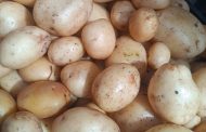 Kilo de papa llega a 40 pesos; comienza a provocar afectaciones en consumidores