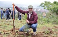 Anuncia Bedolla reforestación de 17 mil hectáreas con 10.5 millones de árboles