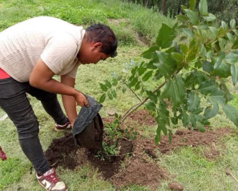 Verde Café plantará 100 árboles en el acceso norte de Zamora