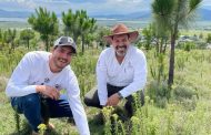 Priorizan rescate de cuencas y Áreas Naturales Protegidas en reforestación estatal