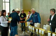 Michoacán liderará el programa piloto nacional para la producción sustentable de maíz