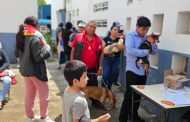 Buen Gobierno inició jornada masiva de esterilización gratuita de perros y gatos