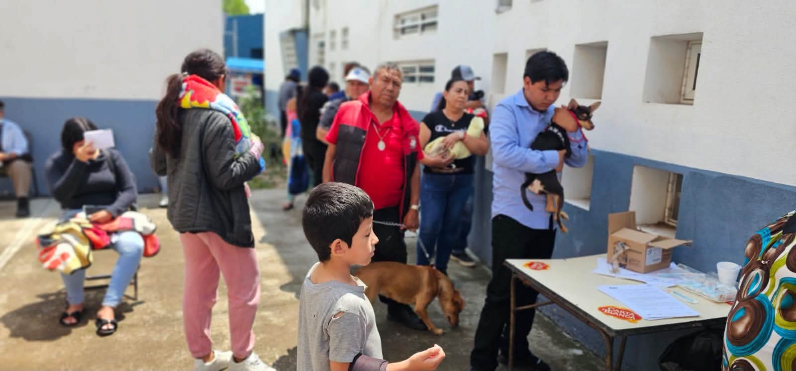 Buen Gobierno inició jornada masiva de esterilización gratuita de perros y gatos