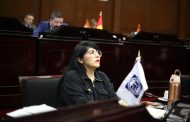 Vanhe Caratachea propone crear un registro de agresores sexuales de niñas, niños y adolescentes