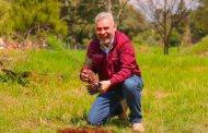 Más de 482 mdp para el campo; avanza pago a productores de maíz en Michoacán
