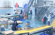 Minería y manufactura impulsan la actividad industrial de Michoacán