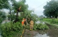 Bajo control afectaciones por lluvia y fuertes vientos