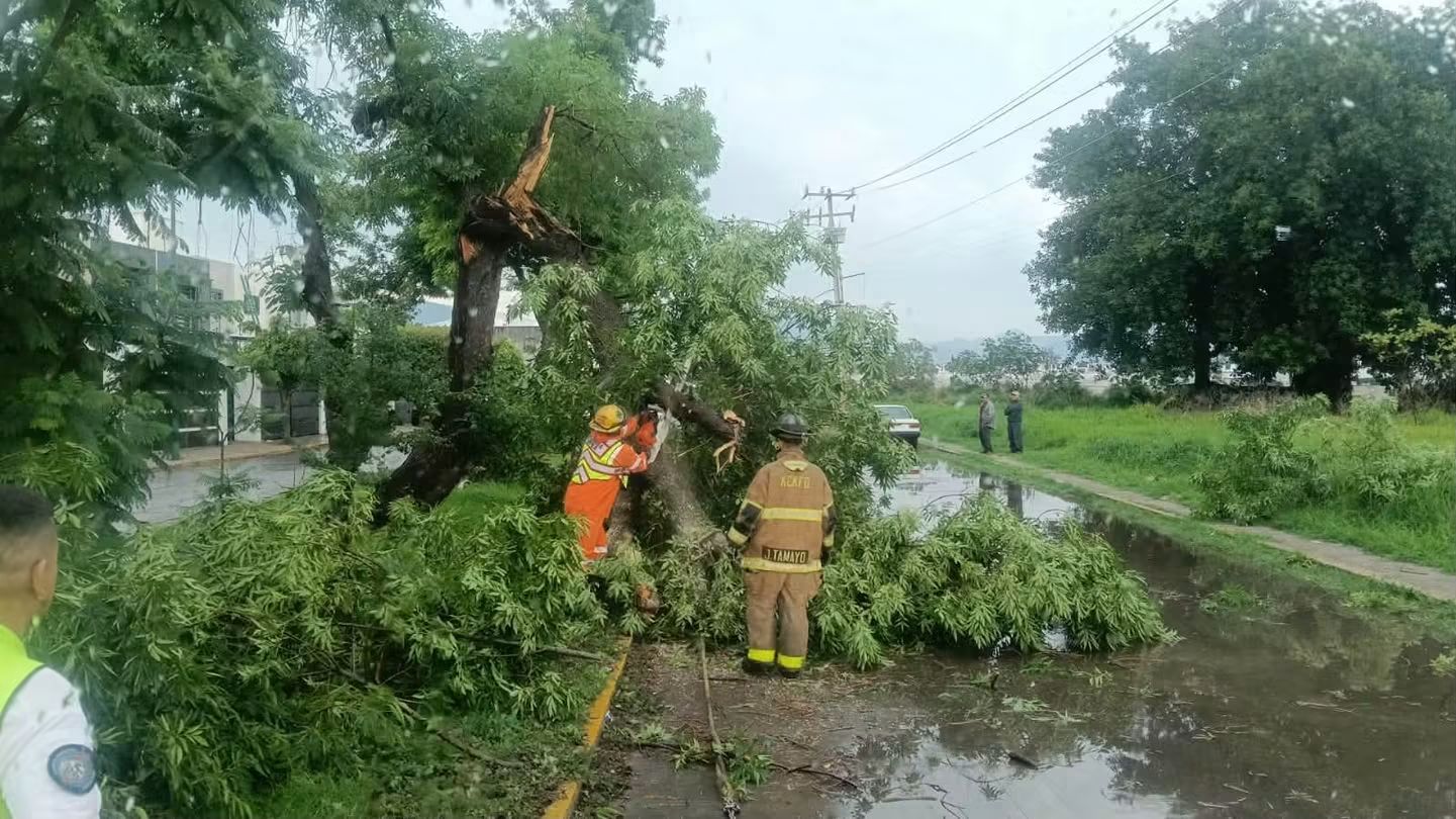 Bajo control afectaciones por lluvia y fuertes vientos