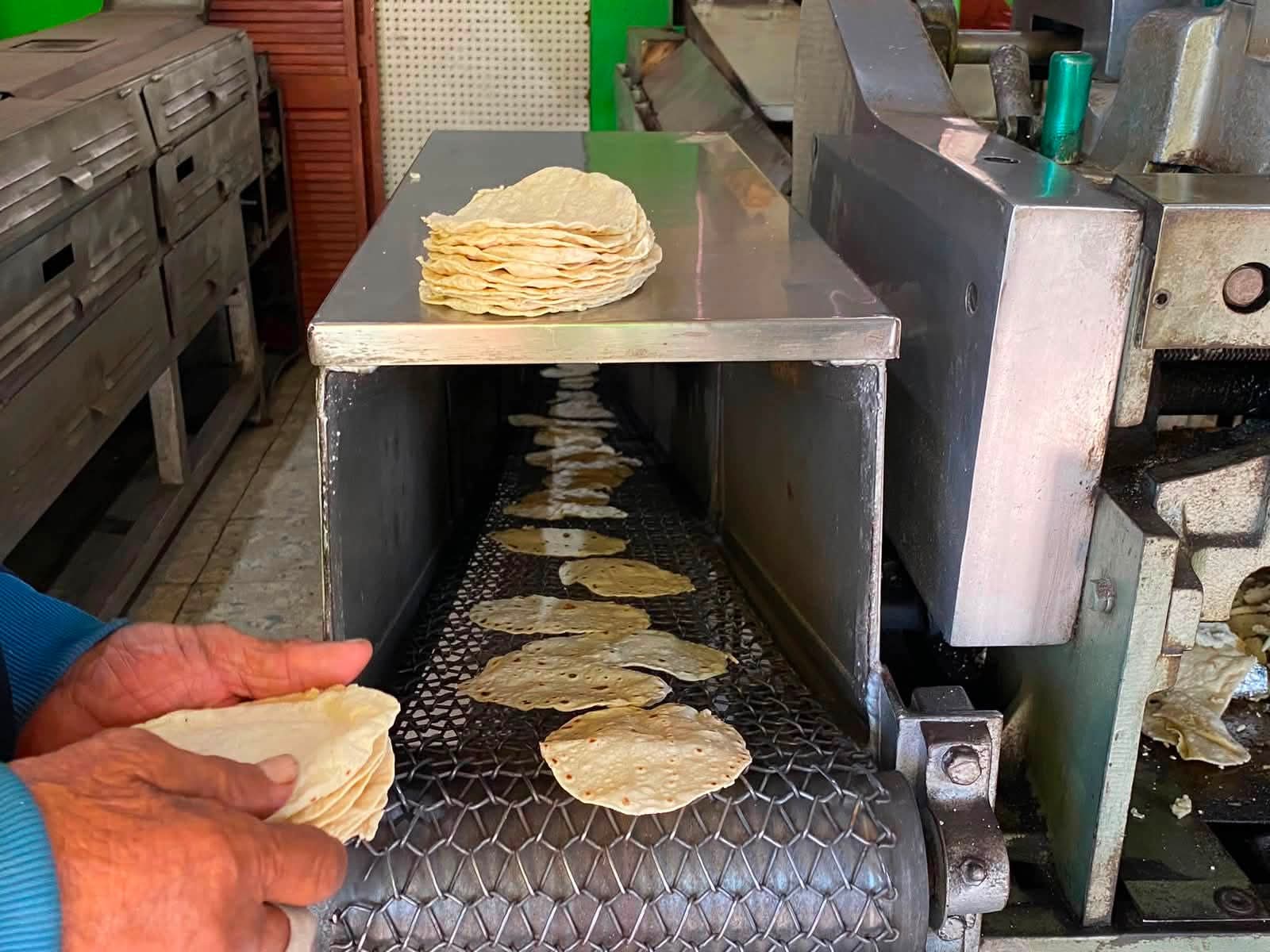 Tortilleros dicen estar en crisis; algunos establecimientos ya solo reciben producto