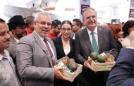 Michoacán consolida su liderazgo agrícola nacional, aporta el 28.2% de las exportaciones: Bedolla