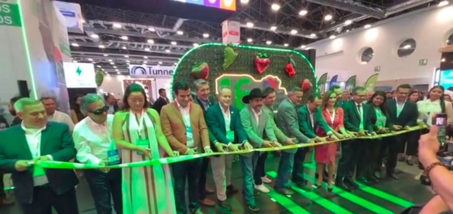 Industria de las berries enfrenta retos comerciales con Estados Unidos