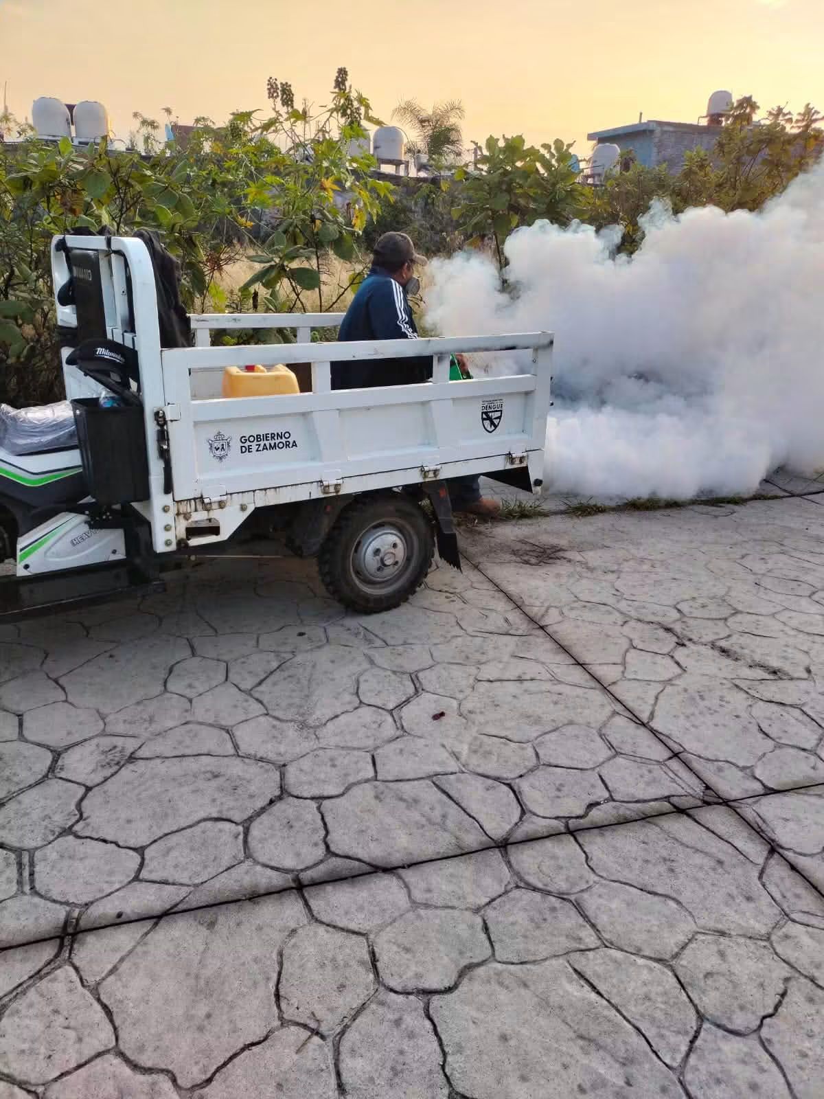 Acciones preventivas contra el dengue reducen casos en Zamora