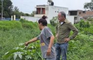 SAPAZ y módulos de riego atienden taponamiento en Puente de Ario de Rayón