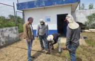 SAPAZ sustituye equipo de bombeo para mejorar abasto de agua en colonias de Zamora