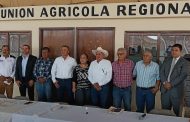 Advierten productores de fresa impacto económico para la región por investigación antidumping de Estados Unidos