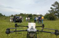 Michoacán dispersa 660 mil semillas con drones para restaurar zonas forestales de difícil acceso