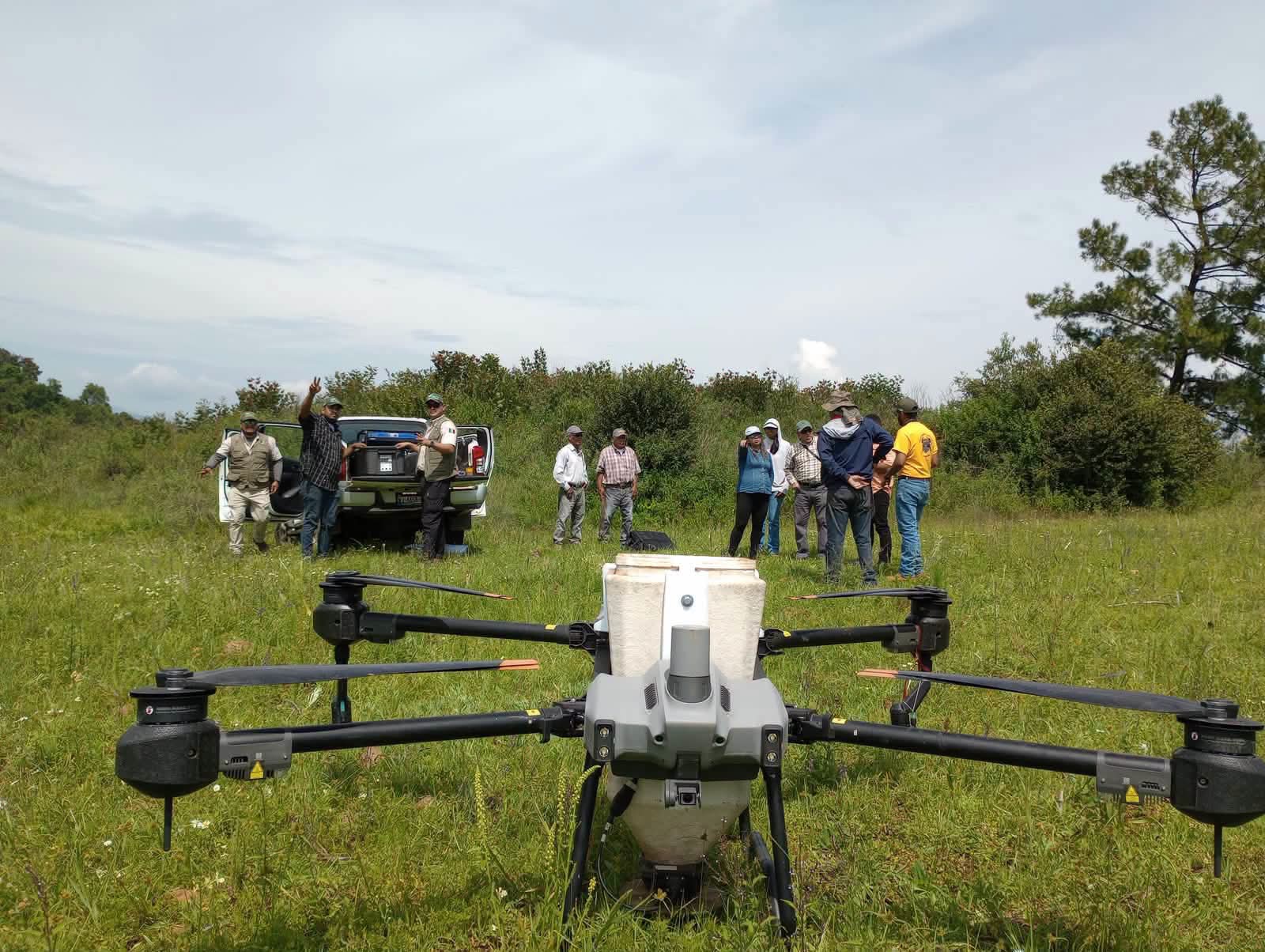 Michoacán dispersa 660 mil semillas con drones para restaurar zonas forestales de difícil acceso