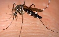 Disminuyen casos de dengue en Zamora; llaman a reforzar medidas preventivas