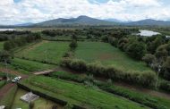 Campo michoacano, principal beneficiado con niveles altos en presas: Conagua Michoacán